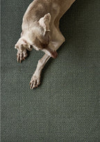 HONEY Cotton rug, recycled