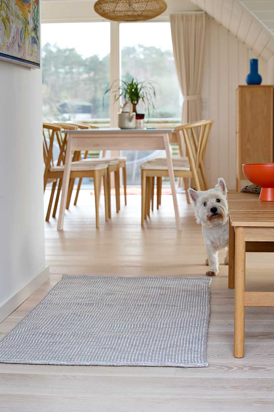 PET Outdoorteppich, MELANGE, hellgrau, 60x90cm